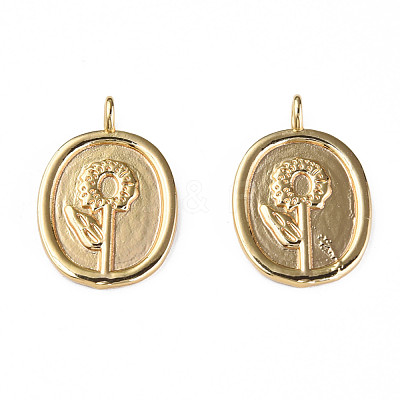 Brass Pendants KK-N233-253-1