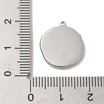 Non-Tarnish 304 Stainless Steel Pendants STAS-L022-280P-1