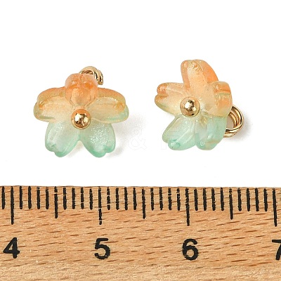 Alloy Acrylic Pendants TACR-P016-01G-10-1