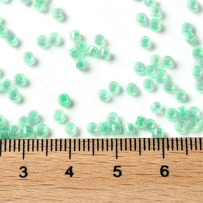 Glass Seed Beads X-SEED-S042-13A-11-1