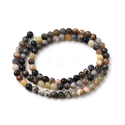 Natural Sodalite Beads Strands G-F591-13A-1