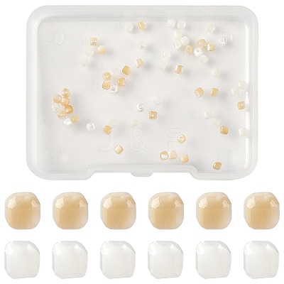 60Pcs 2 Colors Natural Trochid Shell/Trochus Shell Beads BSHE-YW0001-24-1