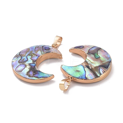 Natural Abalone Shell/Paua Shell Pendants SSHEL-L019-08G-1