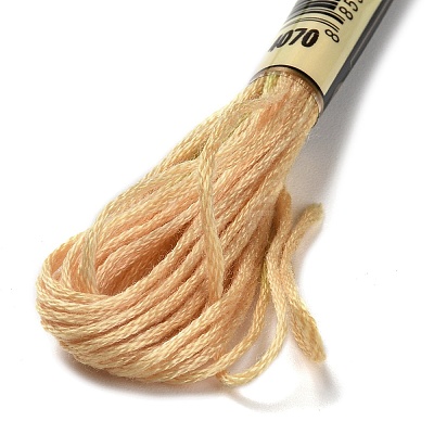 10 Skeins 6-Ply Polyester Embroidery Floss OCOR-K006-A20-1