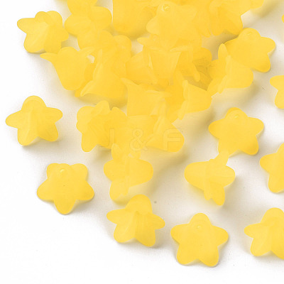 Transparent Acrylic Beads PLF018-19-1