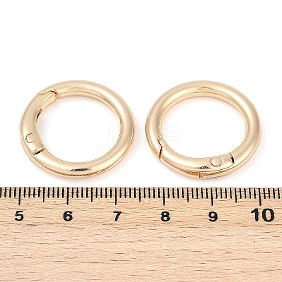 Alloy Spring Gate Clasps X-FIND-H012-05KCG-1