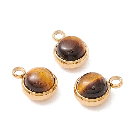 Natural Tiger Eye Charms G-K325-01G-01-1