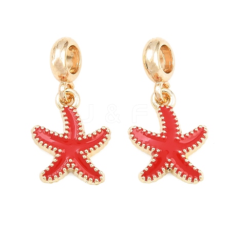 Alloy Enamel European Dangle Charms AL-CBAC2D3-02G-01-1