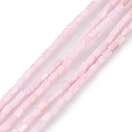 Natural Freshwater Shell Dyed Beads Strands X-SHEL-M018-12-09-1