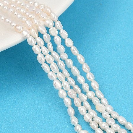 Natural Cultured Freshwater Pearl Beads Strands PEAR-P064-20D-01A-1