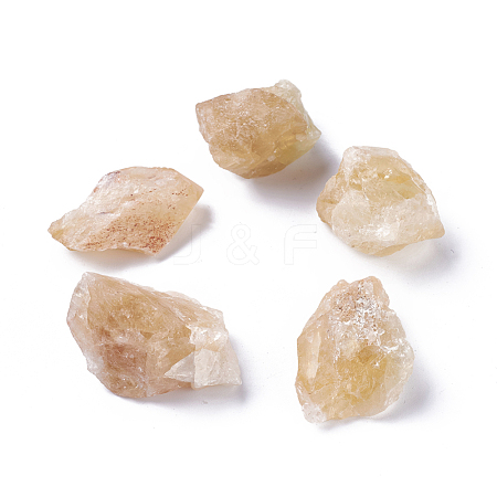 Rough Raw Natural Citrine Beads G-WH0003-02-1