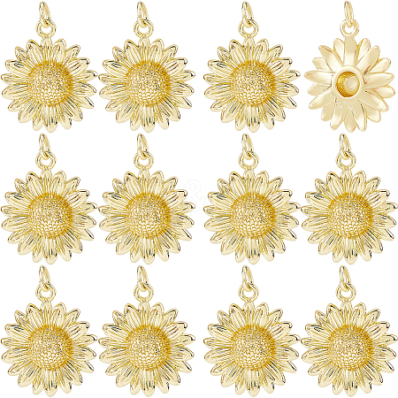 12Pcs Brass Pendants KK-HS0015-35-1