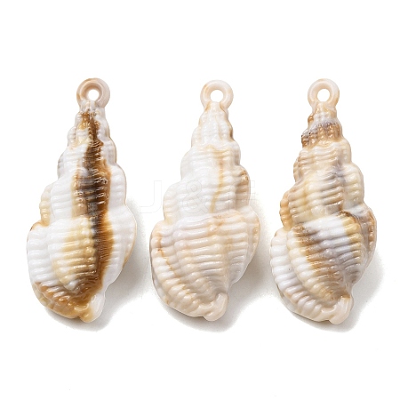 Imitation Shell Acrylic Pendants SACR-K005-07D-1