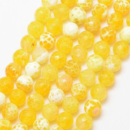Natural Fire Crackle Agate Bead Strands G-K166-07F-8mm-07-1