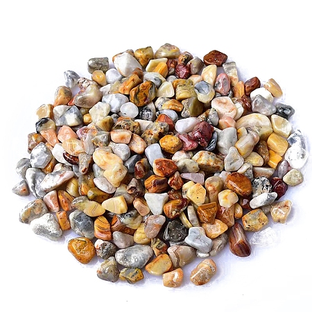 Natural Crazy Agate Tumbled Chips PW-WGA7DCE-26-1