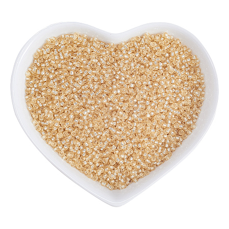 FGB 12/0 Transparent Glass Seed Beads SEED-OL0001-02-02-1