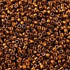 MIYUKI Delica Beads X-SEED-J020-DB0505-3