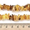 Natural Amber Beads Strands G-L095-D01-01-5