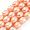 Natural Cultured Freshwater Pearl Beads Strands PEAR-P062-17A-1