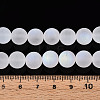 Frosted Transparent Glass Beads Strands GLAA-T032-T10mm-MBB13-4