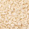 MIYUKI Half TILA Beads SEED-MY05-HTL491-2