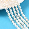 Natural Cultured Freshwater Pearl Beads Strands PEAR-I007-01B-02B-01-1