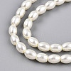 Baking Paint Pearlized Glass Pearl Bead Strands X-HY-T002-01C-02-2