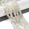 Natural White Moonstone Beads Strands G-P497-01C-65-2