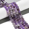 Natural Amethyst Beads Strands G-M403-A13-02-2