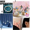 202Pcs Resin Evil Eye Cabochons CRES-NB0001-23-4