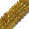 Natural Apatite Beads Strands G-G927-09-1