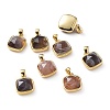 Natural Botswana Agate Charms G-L553-58A-G-1