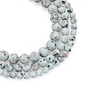 3 Strands 3 Style Natural Sesame Jasper/Kiwi Jasper Beads Strands G-YS0001-05-2