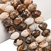 Natural Petrified Wood Beads Strands G-C259-A06-8x12mm-02-1