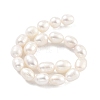 Natural Cultured Freshwater Pearl Beads Strands PEAR-P062-10H-3