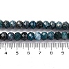 Natural Apatite Beads Strands G-K380-A22-01-5