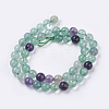 Natural Fluorite Bead Strands G-E468-F01-8mm-2