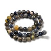 Natural Sodalite Beads Strands G-F591-13A-4