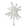304 Stainless Steel Pendants STAS-L293-09B-P-1