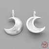 925 Sterling Silver Charms STER-G011-28MS-2
