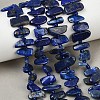 Natural Lapis Lazuli Beads Strands G-L657-E01-01-1