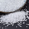 MIYUKI Delica Beads SEED-X0054-DB0635-1