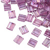 Plating 2-Hole Transparent Glass Seed Beads SEED-N004-008-3