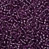 TOHO Round Seed Beads SEED-JPTR11-2219-2
