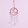 Woven Net/Web with Feather Hanging Decoration for Girl's Room PW-WG45302-02-1