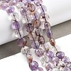 Natural Purple Lodolite Quartz Beads Strands G-C179-A17-02-1