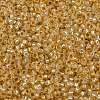 MIYUKI Round Rocailles Beads SEED-G009-RR0552-3