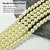 Grade A Glass Pearl Beads HY-J001-10mm-HX003-3