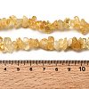 Gemstone Beads Strands X-F044-5