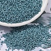 MIYUKI Delica Beads SEED-MY11-DB2315-1